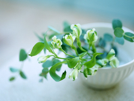Những cô gái cung hoàng đạo dễ dàng giữ chặt người yêu trong tình yêu.